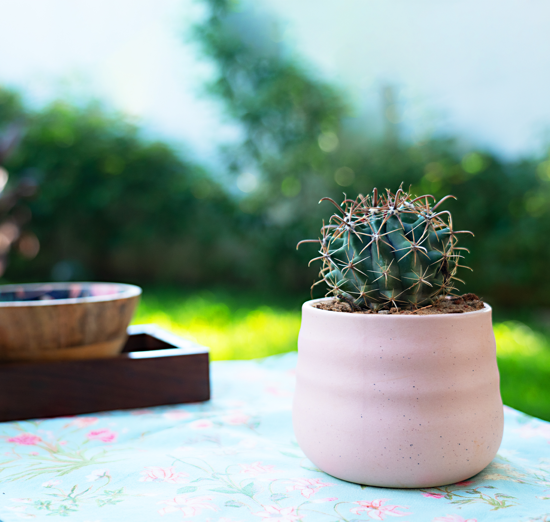 Modern Pink Planter