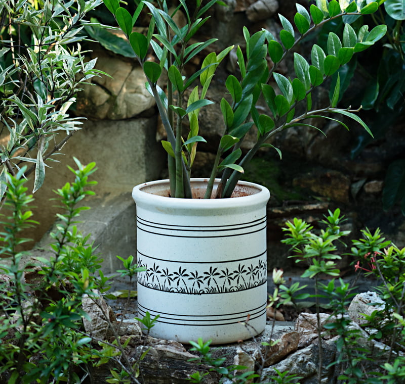 Tropico Planter